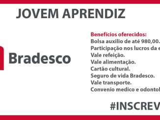 programa jovem aprendiz bradesco